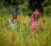 La Banque africaine de développement accorde 102,79 millions de dollars pour soutenir les agriculteurs grâce à des infrastructures résilientes au climat dans les zones spéciales de transformation agro-industrielle en Guinée, au Sénégal et au Togo Le programme devrait bénéficier directement à 1 104 728 agriculteurs, et indirectement à 5 612 415 au total, au moins 50 % des bénéficiaires seront des femmes
