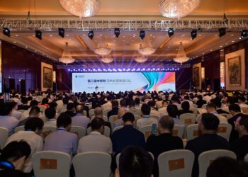 Chine, Europe et Afrique : une alliance pour le développement des énergies vertes