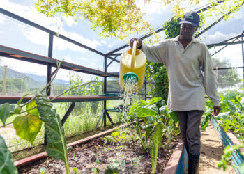 Rwanda : la Banque africaine de développement et le Fonds Vert pour le Climat collaborent pour soutenir des projets verts et climato-résilients