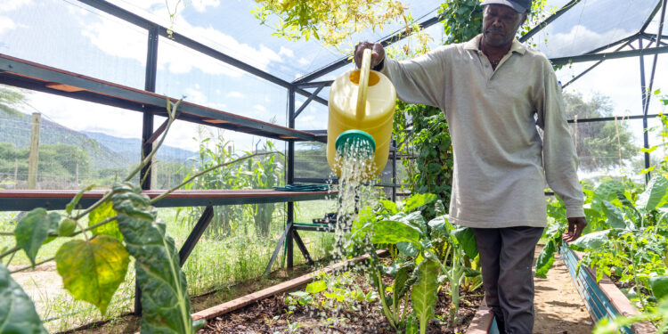 Rwanda : la Banque africaine de développement et le Fonds Vert pour le Climat collaborent pour soutenir des projets verts et climato-résilients