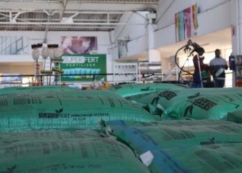 Le Fonds africain de développement débloque un premier appui de 99 millions de dollars pour financer le développement des chaînes de valeur rizicoles en Afrique de l’Ouest