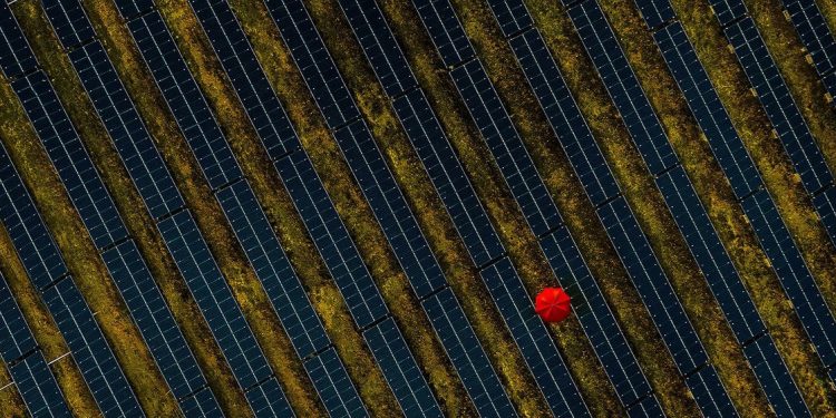 COP29 : « Il est temps d’accélérer, et non de reculer » sur la voie de la neutralité carbone
