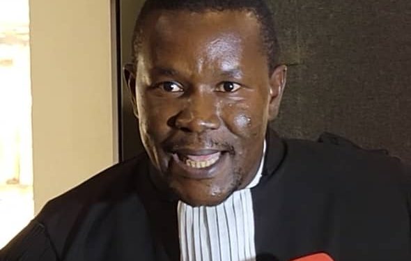 CRIEF : Amadou Damaro condamné à 4 ans de prison, ses avocats dénoncent une décision inique