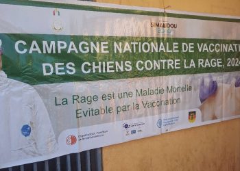 Boké-Santé: Lancement de la Campagne de vaccination des chiens contre la rage
