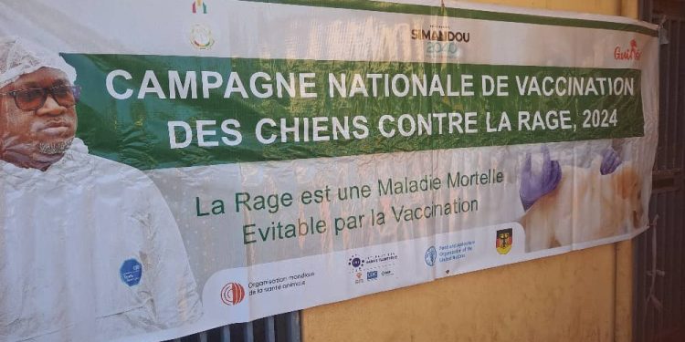 Boké-Santé: Lancement de la Campagne de vaccination des chiens contre la rage