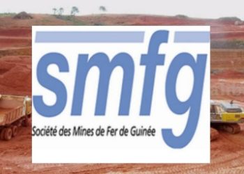 Dr David Makongo et ses réalisations : d’énormes soutiens à la Guinée en 2024 !