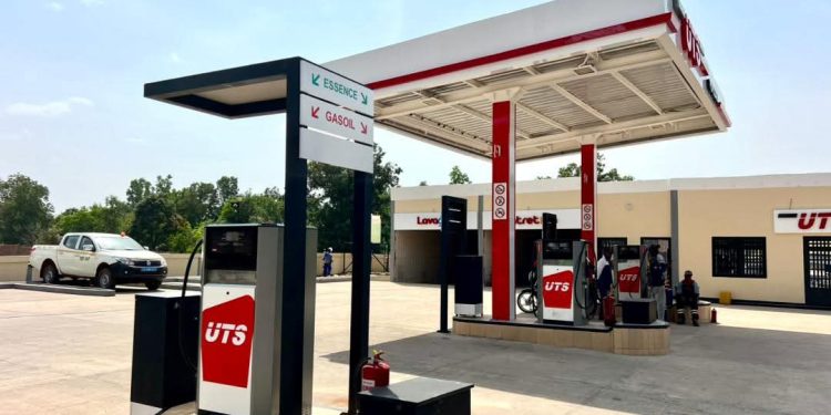 Lucie NIALE, gardienne de la performance chez UMS