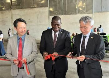 Le Japon fait don de riz à la Guinée pour les programmes du PAM