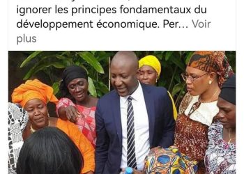 Droit de réponse à Dr Ibrahima Sacko : Le projet Simandou, une réalité prometteuse pour la Guinée.