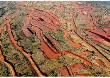 Tribune: M. Fadi Wazni : un visionnaire au service du développement de la Guinée