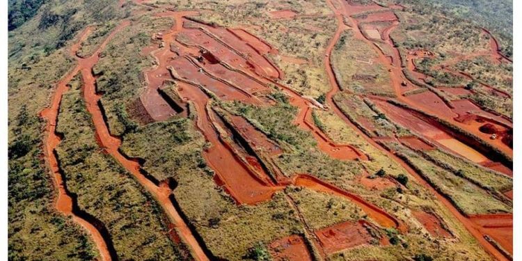 Tribune: M. Fadi Wazni : un visionnaire au service du développement de la Guinée