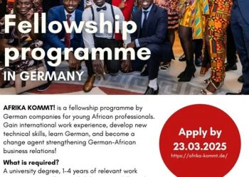 AFRIKA KOMMT! : Une Opportunité Unique pour les Jeunes Professionnels Africains en Allemagne