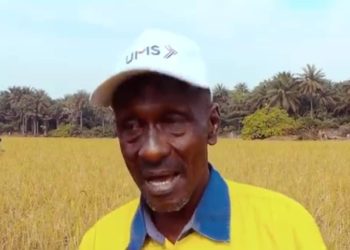 Clôture du projet pilote « Riz de Katougouma » : Un succès pour l’agriculture locale