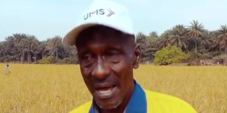 Clôture du projet pilote « Riz de Katougouma » : Un succès pour l’agriculture locale