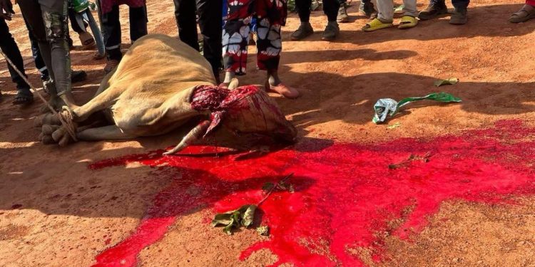 Mines: La CDM-Chine organise des cérémonies de sacrifice pour réduire les accidents sur la route minière