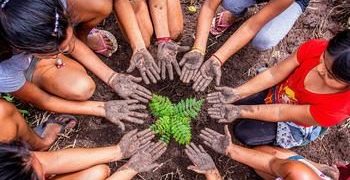 Climat, biodiversité, déchets : 8 bonnes solutions à travers le monde