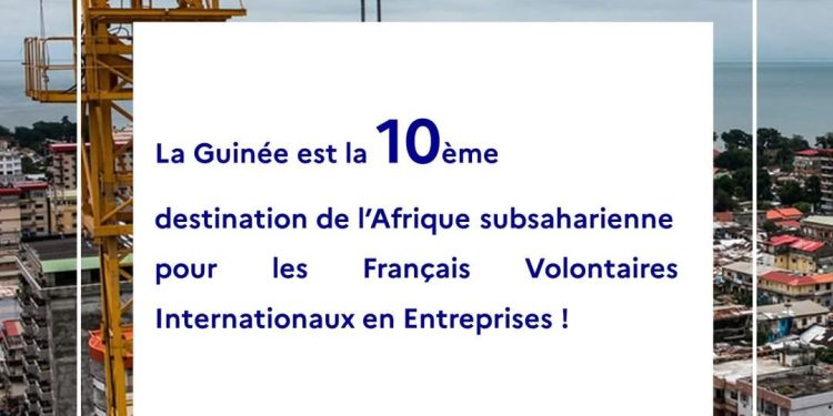 Le chiffre du jour : la Guinée, 10e destination d’Afrique subsaharienne des jeunes Français en VIE