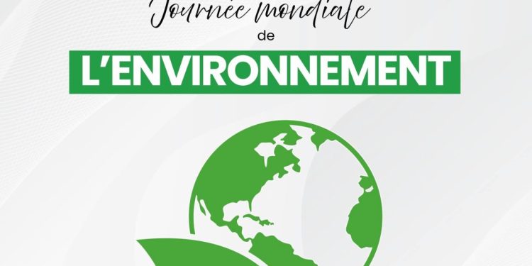 Ensemble pour la planète : l’engagement durable du Groupe UMS