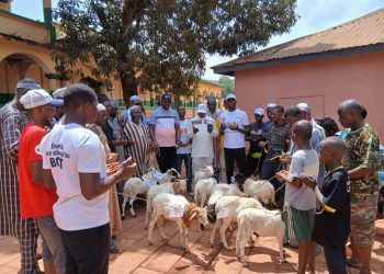 Boké-Tabaski: La Société UMS fait don de moutons aux imams de la préfecture