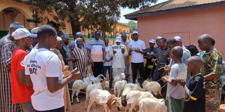 Boké-Tabaski: La Société UMS fait don de moutons aux imams de la préfecture