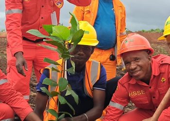 Mines et Environnement : le Consortium SMB-Winning redonne vie à 400 hectares à Dabiss.