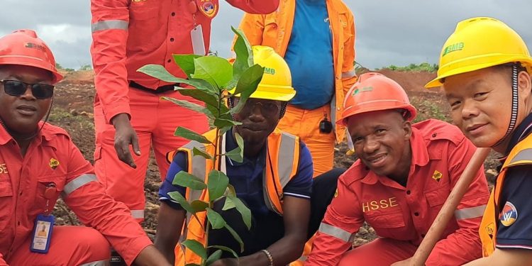 Mines et Environnement : le Consortium SMB-Winning redonne vie à 400 hectares à Dabiss.