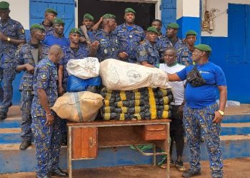 Boké-Insécurité: Saisie de 64 kg du chavre indien par la Compagnie de la Gendarmerie Territoriale