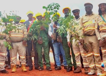 Sangarédi – Environnement : La CBG lance une campagne de restauration écologique sur 136 hectares à N’Dangara