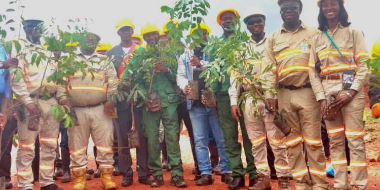 Sangarédi – Environnement : La CBG lance une campagne de restauration écologique sur 136 hectares à N’Dangara