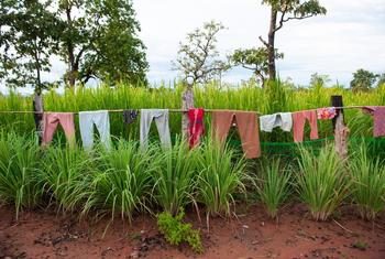 L’ONU exhorte la Thaïlande et le Cambodge à conclure immédiatement un cessez-le-feu