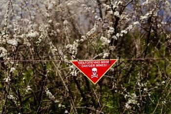 L’ONU déplore la décision de pays européens de se retirer du traité interdisant les mines antipersonnel