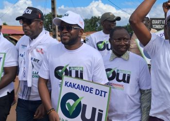 Marche des cadres administratifs à Boké: Abdoulaye Kéita parmi les piétons 