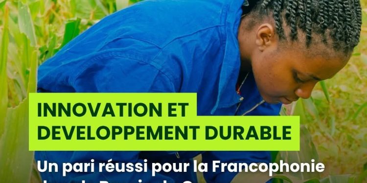 Innovation verte : le projet PDTIE ouvre une nouvelle ère pour le développement durable dans le Bassin du Congo
