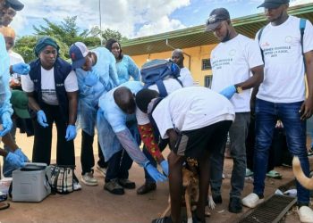 Boké-Santé: La DPA-E lance la vaccination gratuite des chiens contre la rage