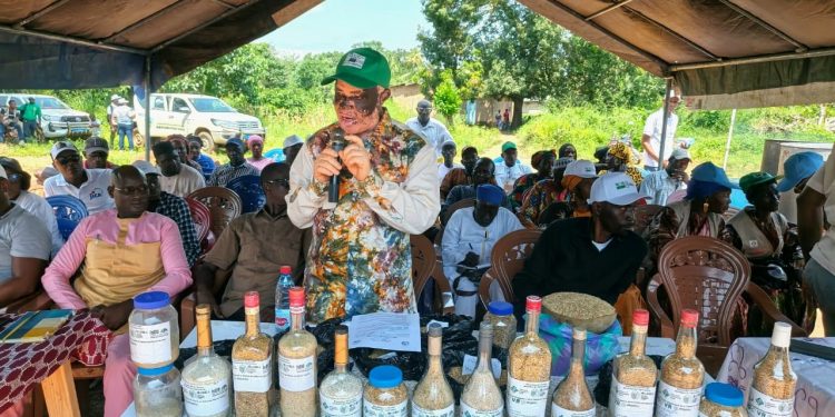 Boké-Agriculture: Les techniciens du Projet Africa Rice forment les producteurs sur l’utilisation des semences de qualité