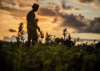 La Banque africaine de développement accorde un don de six millions de dollars pour le renforcement des capacités et le financement des risques de catastrophes en Afrique pour la période 2025-2026