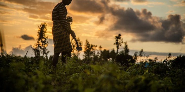 La Banque africaine de développement accorde un don de six millions de dollars pour le renforcement des capacités et le financement des risques de catastrophes en Afrique pour la période 2025-2026