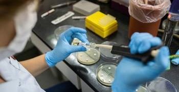 La résistance aux antibiotiques augmente dans le monde, avertit l’OMS