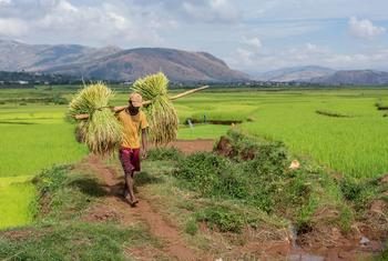 Journée de l’alimentation : la faim regagne du terrain, la solidarité vacille