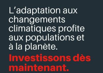 Boké-Culture: Le Consortium SMB-Winning lance la formation de 20 employés sur la Culture guinéenne en milieu professionnel
