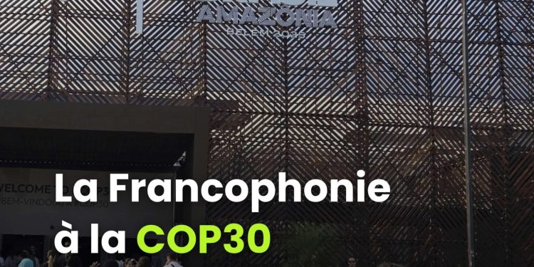 COP30 à Belém : L’OIF renforce la voix francophone pour un développement durable ambitieux