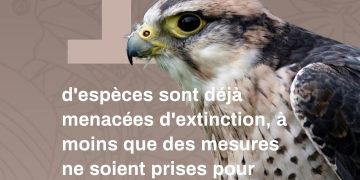 Commerce illégal d’espèces sauvages : la CITES se prépare à des décisions cruciales en Ouzbékistan