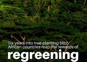 COP30 : Les forêts tropicales au cœur des solutions climatiques