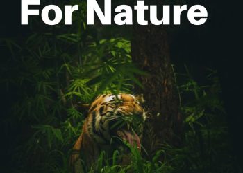 Préserver la nature : un appel pressant à l’action individuelle et collective