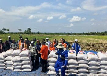 Boké-Agriculture: Le Consortium SMB-Winning célèbre la réussite de la culture du riz de 100ha sur la plaine agricole d&rsquo;Amarayah
