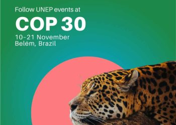 Développement durable | Quand la nature devient moteur de croissance