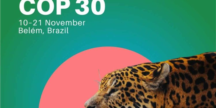 Développement durable | Quand la nature devient moteur de croissance