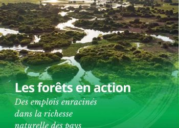 Développement durable | Quand la nature devient moteur de croissance