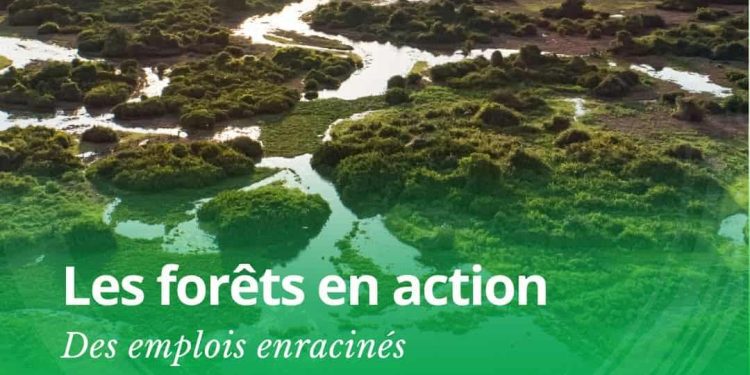 Développement durable | Quand la nature devient moteur de croissance