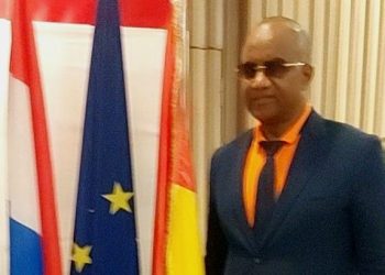 Guinée – Pays-Bas : vers une coopération économique durable et équilibrée